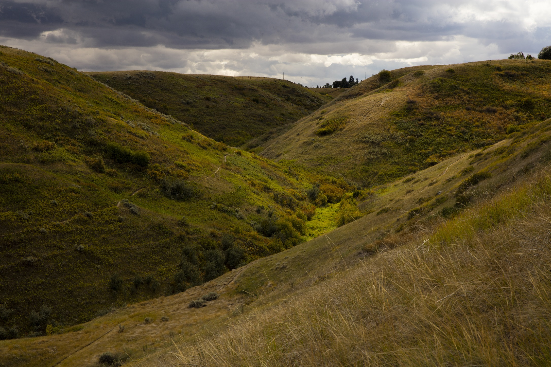 Coulees near the University of Lethbridge